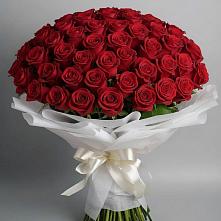 Букет 101 Красная роза Блэк Мэджик в Николаевке