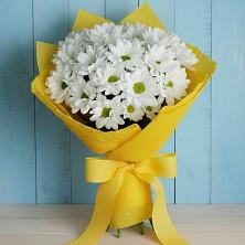 Букет цветов из:  Хризантемы в Николаевке
