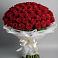 Букет 101 Красная роза Блэк Мэджик в Николаевке
