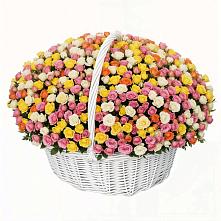 Премиум букет из: Розы в Николаевке