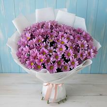 Букет цветов из:  Хризантемы #REPLACE_PRED# Николаевке