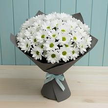 Букет цветов из:  Хризантемы #REPLACE_PRED# Николаевке