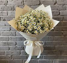 Букет цветов из:  Ромашки в Николаевке