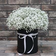 Цветочная композиция из Гипсофила в шляпной коробке в Николаевке