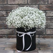Цветочная композиция из Гипсофила в шляпной коробке в Николаевке