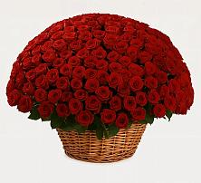 Премиум букет из: Розы в Николаевке